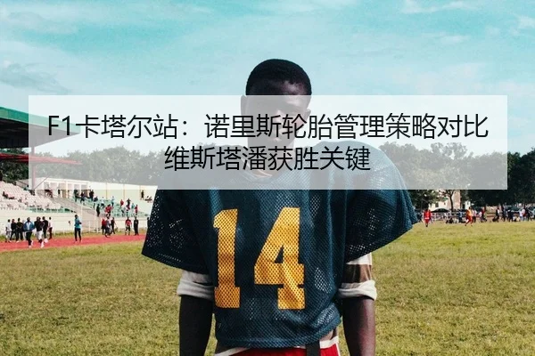 F1卡塔尔站：诺里斯轮胎管理策略对比维斯塔潘获胜关键